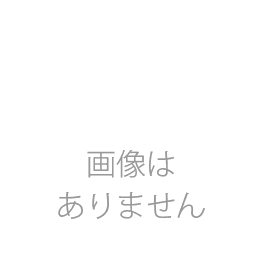 アルファ ロープ水位計 ネジ込み専用錘 (おもり)